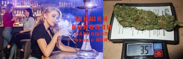 индика Армянск