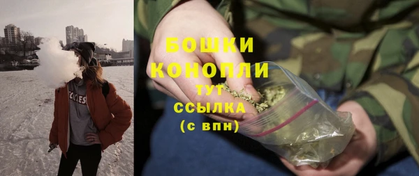 ПСИЛОЦИБИНОВЫЕ ГРИБЫ Аркадак