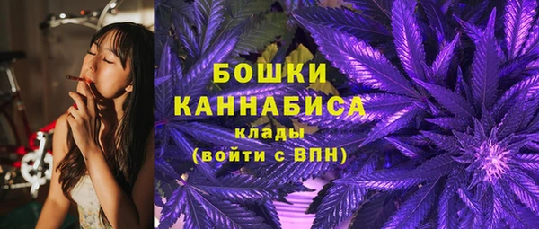 кокс Арсеньев
