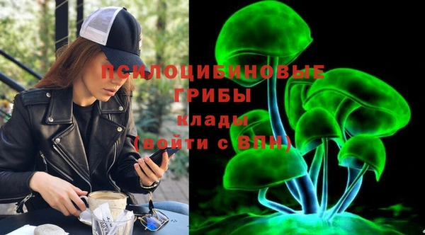 индика Армянск