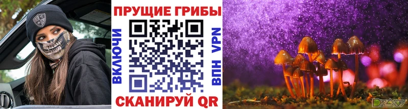 Галлюциногенные грибы мицелий Ужур